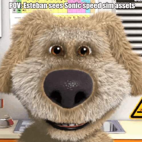 a cartoon dog with the caption " esteban sees sonic speed sin assets "