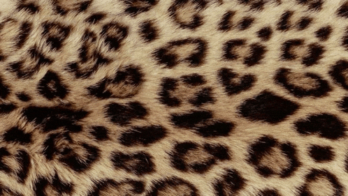 a close up of a leopard print pattern
