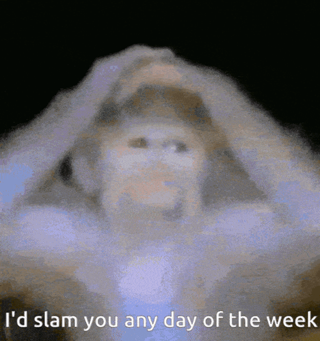 a blurred image of a person with the words i 'd slam you any day of the week on the bottom