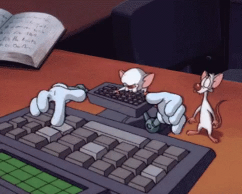 Animaniacs Pinky And The Brain GIF - Animaniacs Pinky And The Brain Typing GIFs