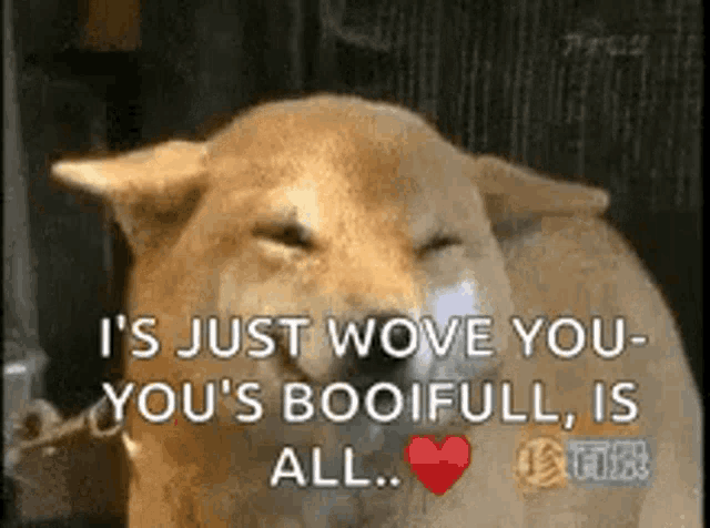 Dog Smile GIF