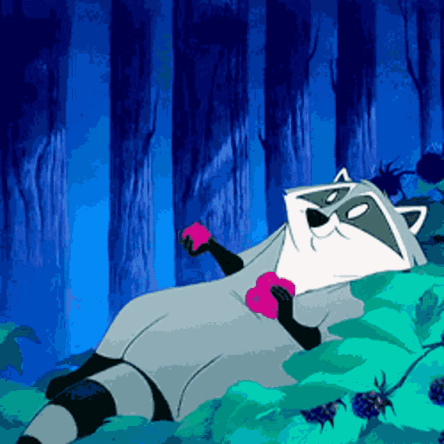 a cartoon raccoon is laying down in the woods holding a heart