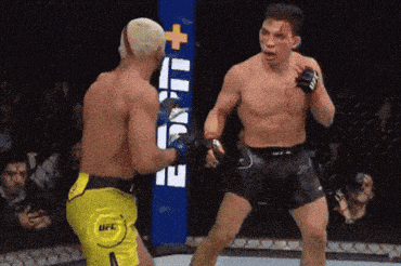 two men are fighting in a ring with a ufc sign behind them