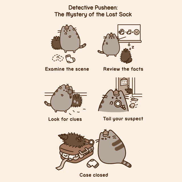 detective pusheen the mystery of the lost sock explains how to solve the mystery