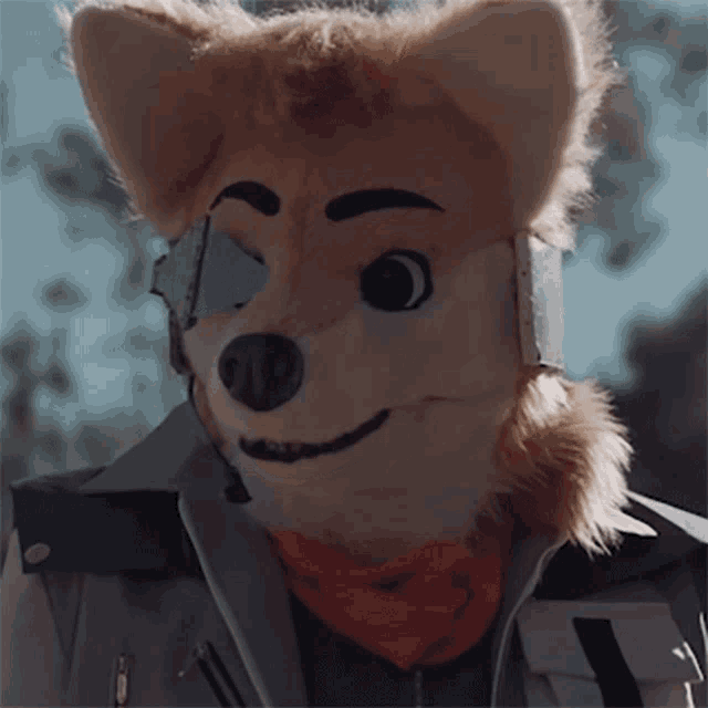 a close up of a stuffed animal with a helmet on