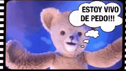 Pedo Bear GIF - Pedo Bear GIFs