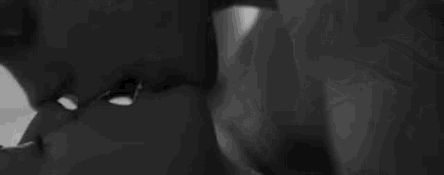 a black and white photo of a woman kissing another woman 's foot .