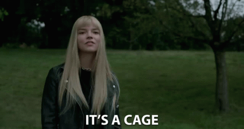 Its A Cage Trapped GIF - Its A Cage Trapped Stuck GIFs