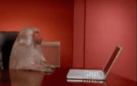 Funny Not Funny GIF - Funny Not Funny Bed Time GIFs