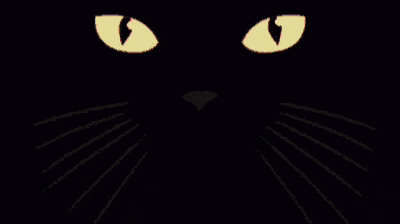a black cat with a pink tongue sticking out in the dark