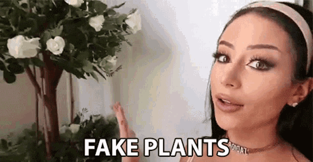 Fake Plants Shocked GIF - Fake Plants Shocked Shook GIFs