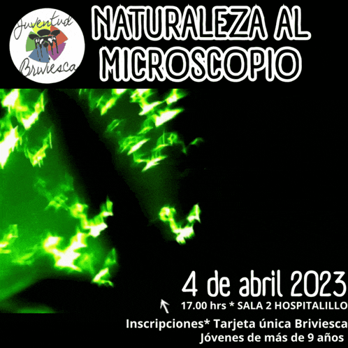 a poster for a natureza al microscopio event in april of 2025