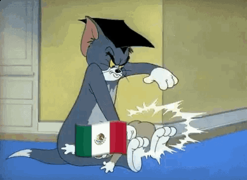 Mexico Brazil GIF
