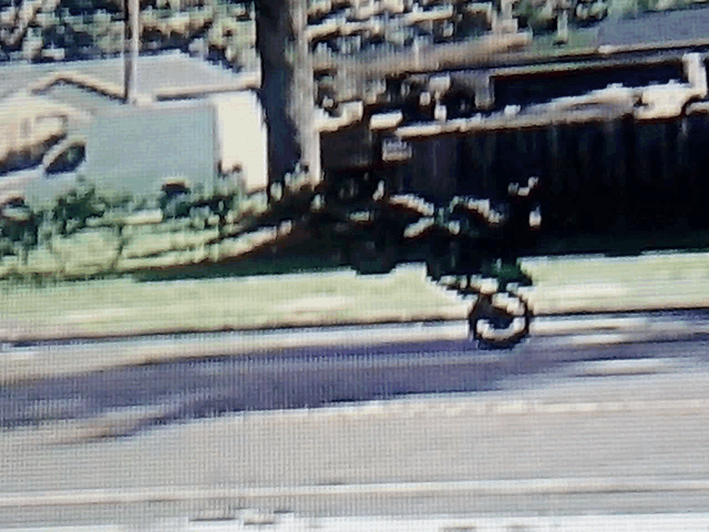 a blurry picture of a street with a fence and a tree in the background