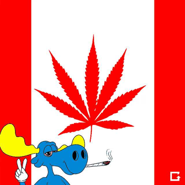 Lolol Canada GIF