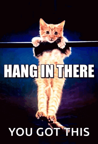 a cat hanging on a bar with the words hang in there you got this