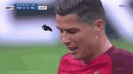 a close up of a soccer player 's face during a match