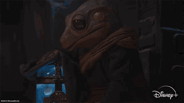 Keeping It Safe Frog Lady GIF - Keeping It Safe Frog Lady The Mandalorian GIFs
