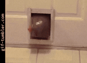 a gif of a toilet paper roll being pulled out