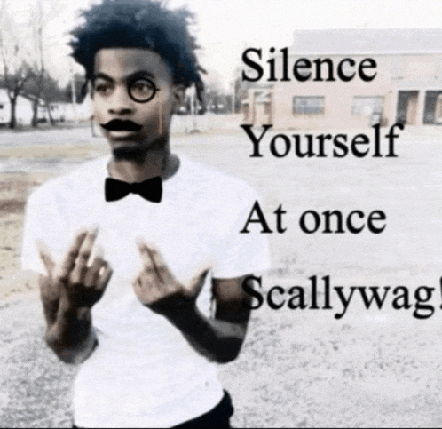 a man wearing glasses and a bow tie is giving the middle finger with the words silence yourself at once scallywag