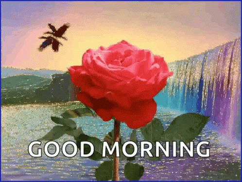 Good Morning Rose GIF - Good Morning Rose Waterfalls GIFs