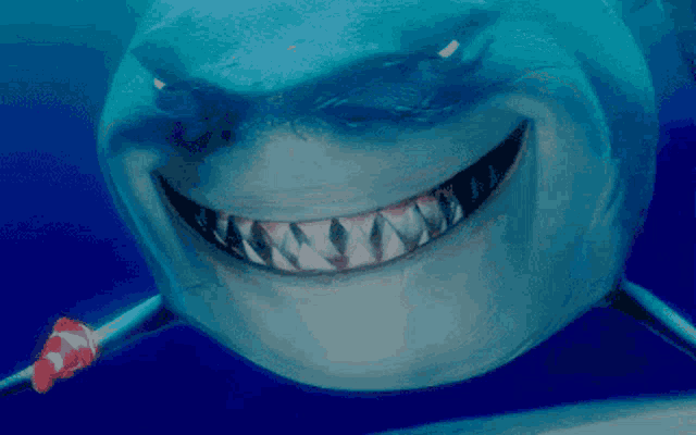 a close up of a shark 's teeth with a smile