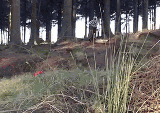 a person is riding a bike in the woods with a red flower in the foreground .