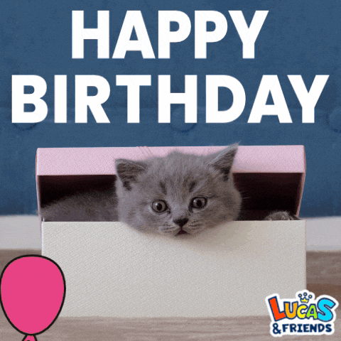 a kitten peeking out of a box with the words happy birthday lucas & friends