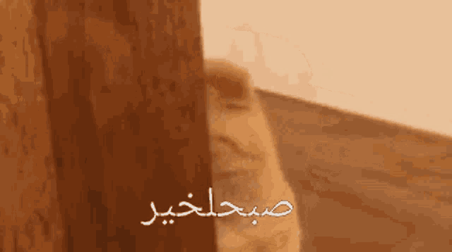 a cat peeking out from behind a wall with the words " صباح الخير " written in arabic