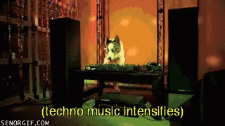 Rave Techno GIF - Rave Techno Dogs GIFs