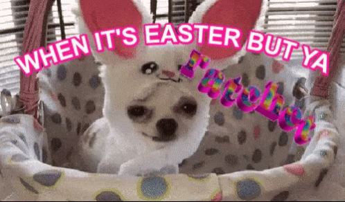 Funny Easter Ratchet GIF - Funny Easter Easter Ratchet GIFs