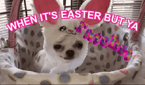 a dog wearing bunny ears is sitting in a basket with the words " when it 's easter but ya "