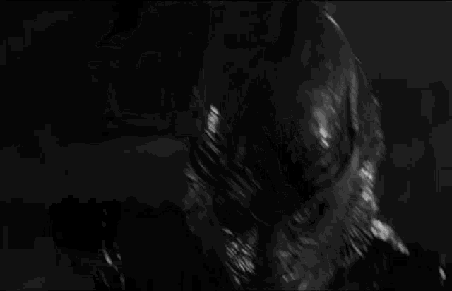 Burning The Gill Man GIF - Burning The Gill Man Creature From The Black Lagoon GIFs