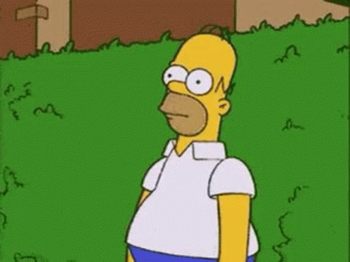 Homer Simpson The Simpsons GIF - Homer Simpson The Simpsons Hide GIFs