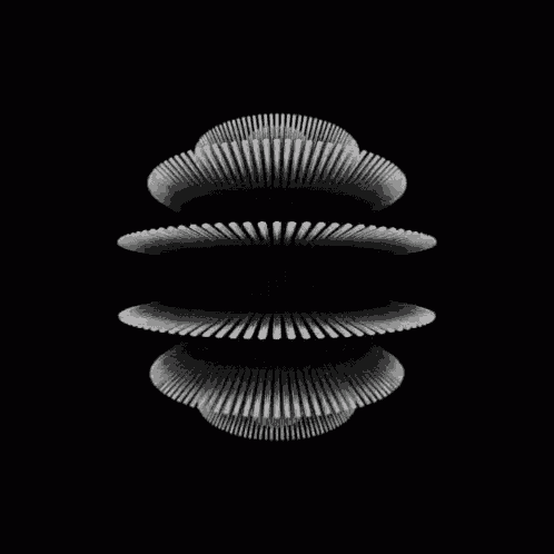 a black and white optical illusion of a circular object on a black background
