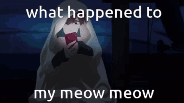 a close up of a person 's face with the words " what happened to my meow meow " below it