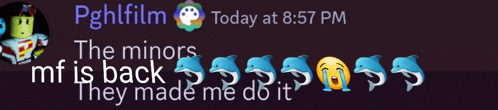 a purple background with dolphins and the words " the minors mf is back they made me do it " on it