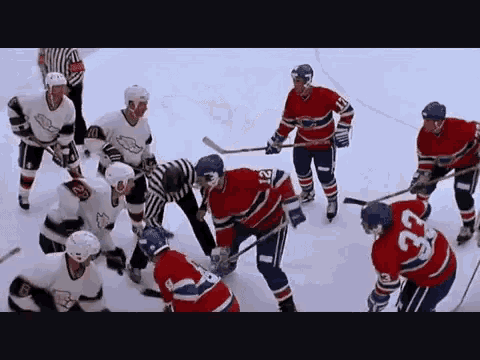 Ice Hockey Fight GIF - Ice Hockey Fight Riot GIFs