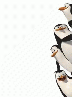 Penguin Madagascar GIF - Penguin Madagascar GIFs