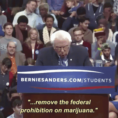 a man stands at a podium with a sign that says berniesanders.com/students on it
