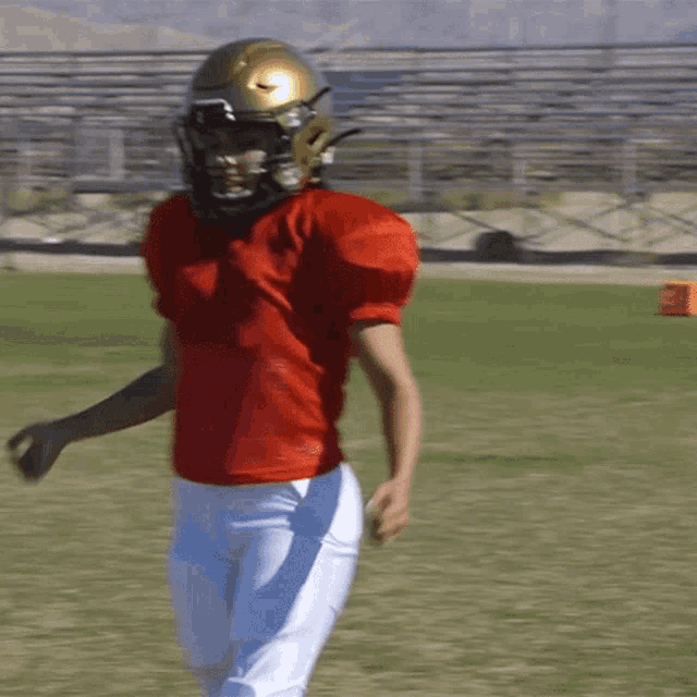 a football player wearing a red jersey and a gold helmet stands on a field