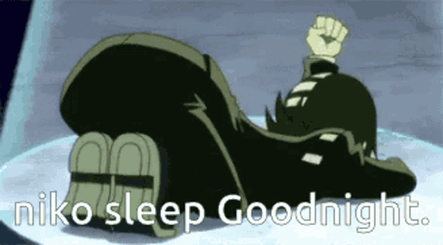 a cartoon character is laying down with the words niko sleep goodnight written below him