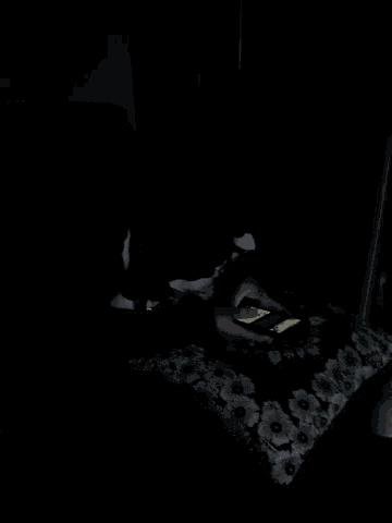 a person using a cell phone in the dark