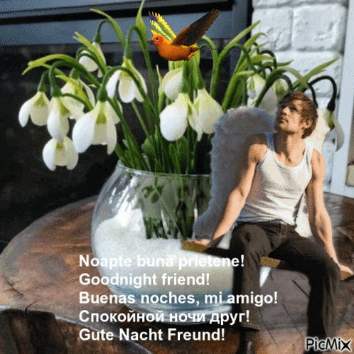 a man with angel wings sits in front of a vase of flowers and says goodnight friend