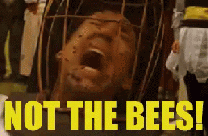Not The GIF - Not The Bees GIFs