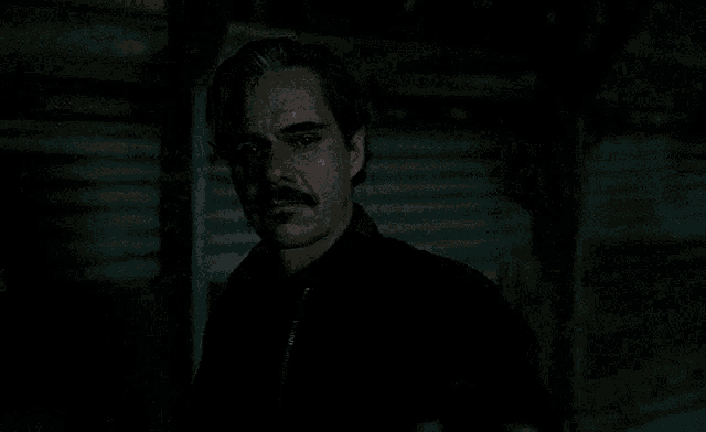 a man with a mustache is looking at the camera