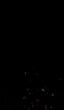 a close up of a music official logo on a black background