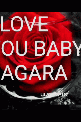 I Love You Baby Sagara GIF - I Love You Baby Sagara GIFs