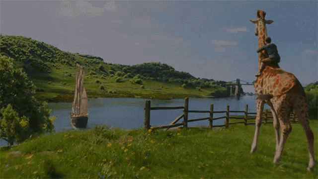 a giraffe stands in a field with a boat in the background