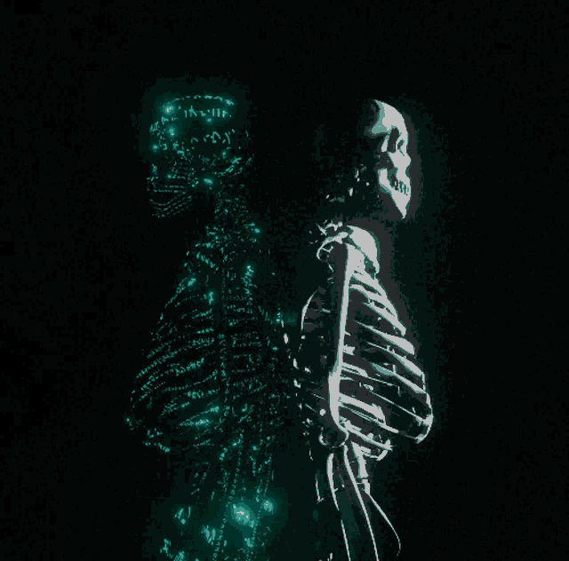 Skeleton Matrix GIF - Skeleton Matrix Digital GIFs